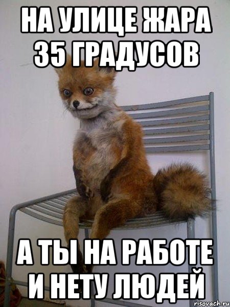 на улице жара 35 градусов а ты на работе и нету людей, Мем Упоротая лиса