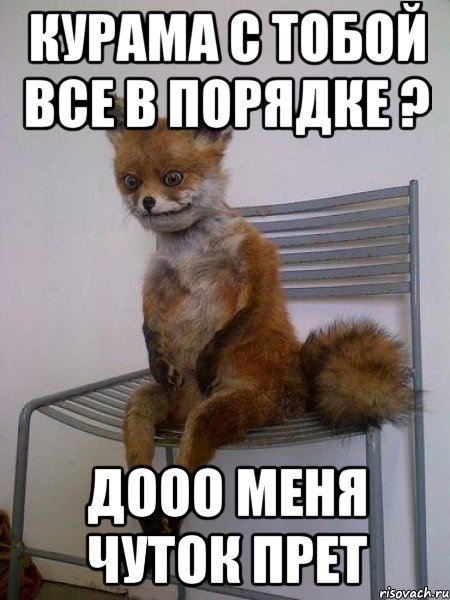 курама с тобой все в порядке ? дооо меня чуток прет, Мем Упоротая лиса