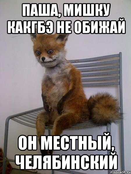 паша, мишку какгбэ не обижай он местный, челябинский, Мем Упоротая лиса