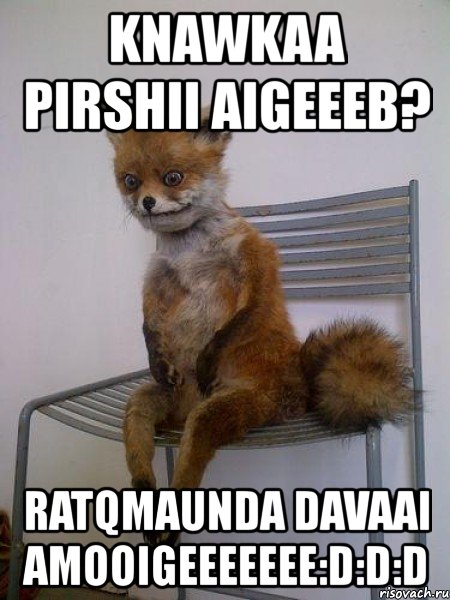 knawkaa pirshii aigeeeb? ratqmaunda davaai amooigeeeeeee:d:d:d, Мем Упоротая лиса