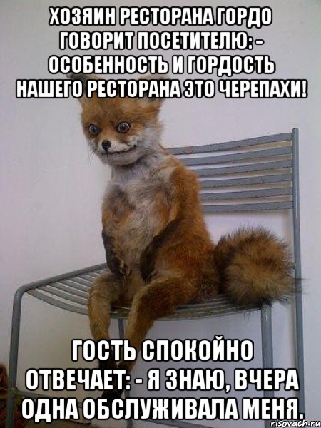 хозяин ресторана гордо говорит посетителю: - особенность и гордость нашего ресторана это черепахи! гость спокойно отвечает: - я знаю, вчера одна обслуживала меня., Мем Упоротая лиса