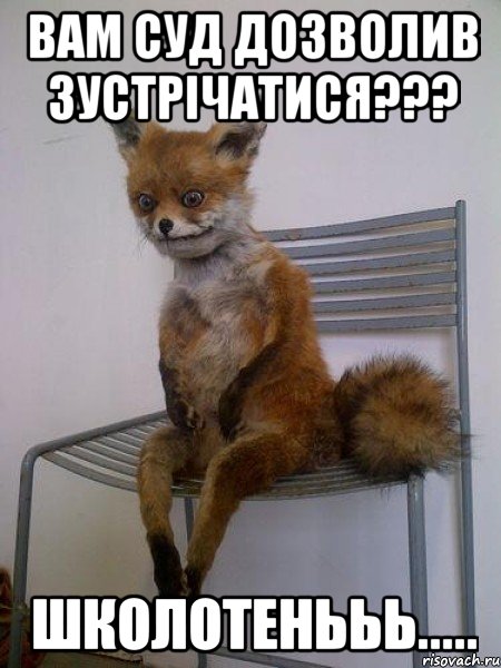 вам суд дозволив зустрічатися??? школотенььь....., Мем Упоротая лиса
