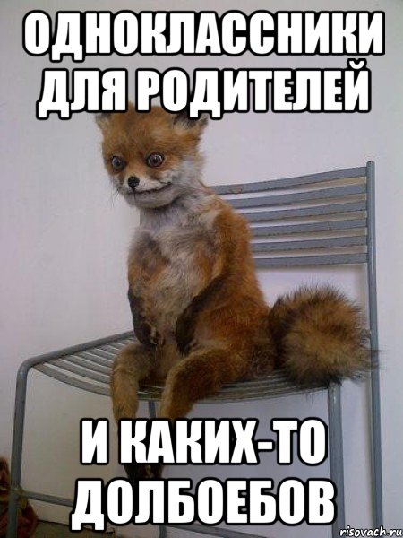 одноклассники для родителей и каких-то долбоебов, Мем Упоротая лиса