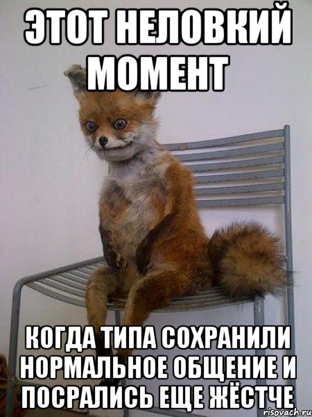 этот неловкий момент когда типа сохранили нормальное общение и посрались еще жёстче, Мем Упоротая лиса