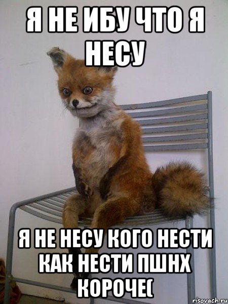 я не ибу что я несу я не несу кого нести как нести пшнх короче(, Мем Упоротая лиса