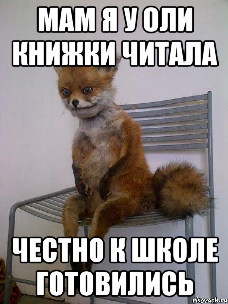 мам я у оли книжки читала честно к школе готовились, Мем Упоротая лиса