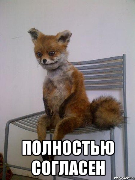  полностью согласен, Мем Упоротая лиса