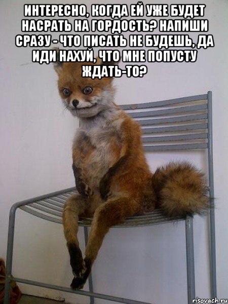 интересно, когда ей уже будет насрать на гордость? напиши сразу - что писать не будешь, да иди нахуй, что мне попусту ждать-то? 