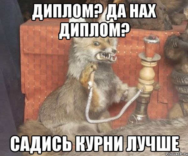 диплом? да нах диплом? садись курни лучше