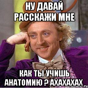 ну давай расскажи мне как ты учишь анатомию ? ахахахах, Мем Ну давай расскажи (Вилли Вонка)