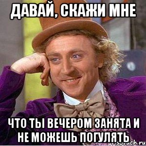 давай, скажи мне что ты вечером занята и не можешь погулять, Мем Ну давай расскажи (Вилли Вонка)