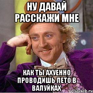 ну давай расскажи мне как ты ахуенно проводишь лето в валуйках, Мем Ну давай расскажи (Вилли Вонка)