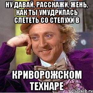 ну давай, расскажи, жень, как ты умудрилась слететь со степухи в криворожском технаре, Мем Ну давай расскажи (Вилли Вонка)