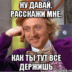 ну давай, расскажи мне, как ты тут все держишь, Мем Ну давай расскажи (Вилли Вонка)