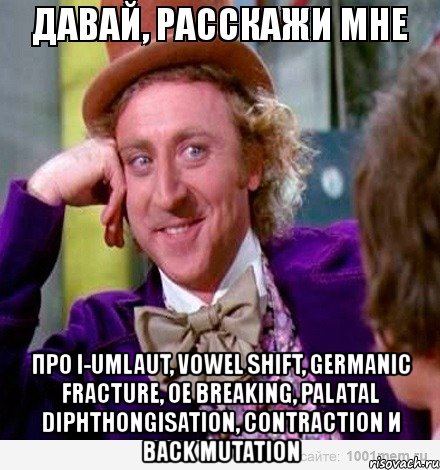  про i-umlaut, vowel shift, germanic fracture, oe breaking, palatal diphthongisation, contraction и back mutation, Мем вилли
