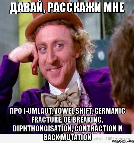  про i-umlaut, vowel shift, germanic fracture, oe breaking, diphthongisation, contraction и back mutation, Мем вилли