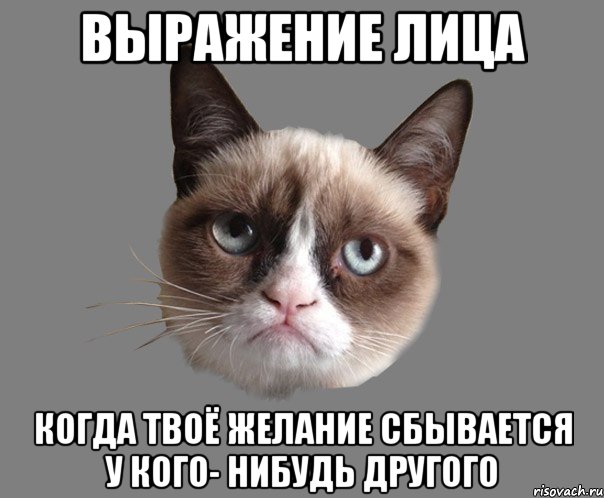 выражение лица когда твоё желание сбывается у кого- нибудь другого, Мем Ворчун