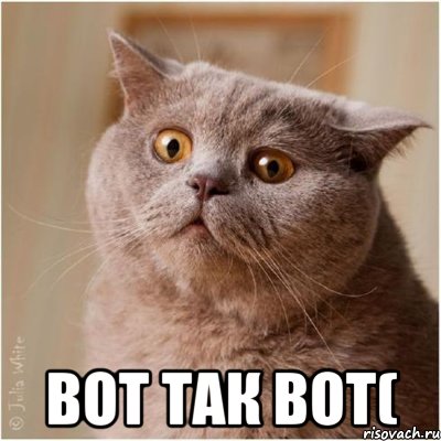  вот так вот(, Мем вот так вот