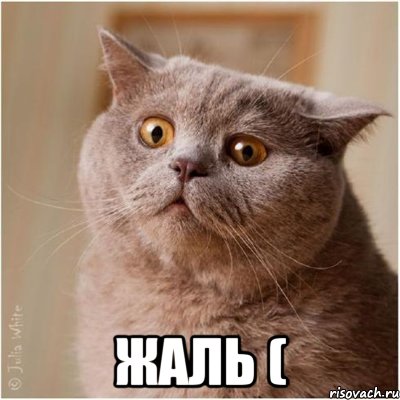  жаль (, Мем вот так вот