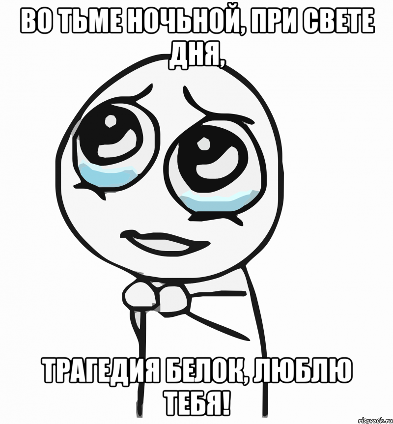 во тьме ночьной, при свете дня, трагедия белок, люблю тебя!, Мем  ну пожалуйста (please)