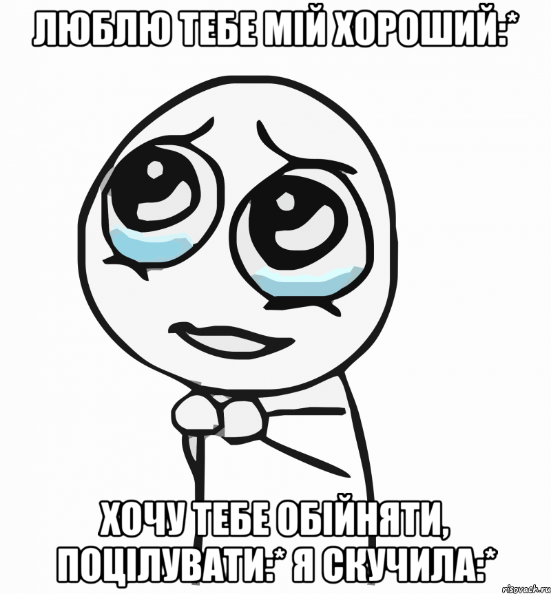 люблю тебе мій хороший:* хочу тебе обійняти, поцілувати:* я скучила:*, Мем  ну пожалуйста (please)