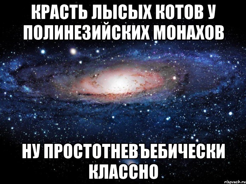 красть лысых котов у полинезийских монахов ну простотневъебически классно, Мем Вселенная