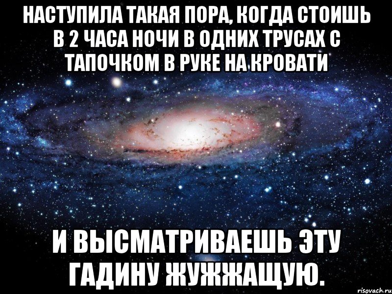 наступила такая пора, когда стоишь в 2 часа ночи в одних трусах с тапочком в руке на кровати и высматриваешь эту гадину жужжащую., Мем Вселенная