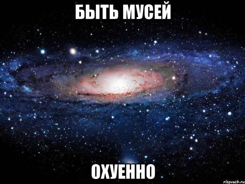 быть мусей охуенно, Мем Вселенная