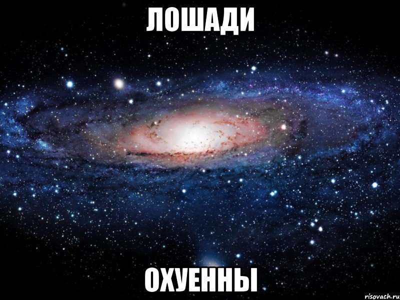 лошади охуенны, Мем Вселенная