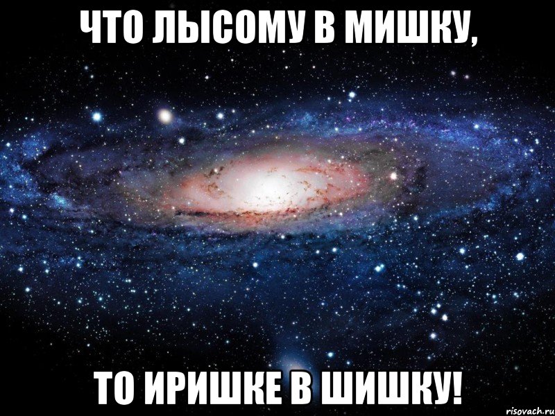 что лысому в мишку, то иришке в шишку!, Мем Вселенная