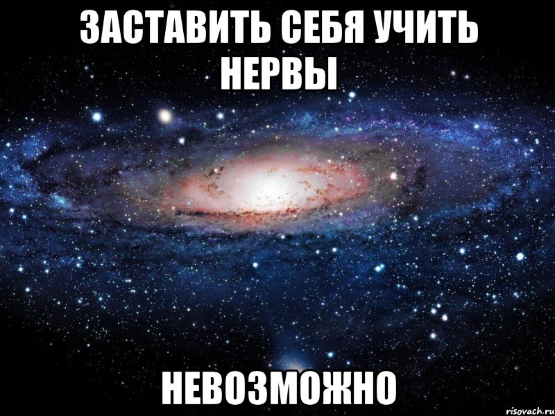 заставить себя учить нервы невозможно, Мем Вселенная