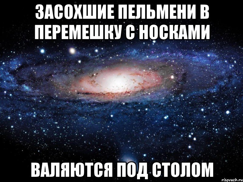 засохшие пельмени в перемешку с носками валяются под столом, Мем Вселенная
