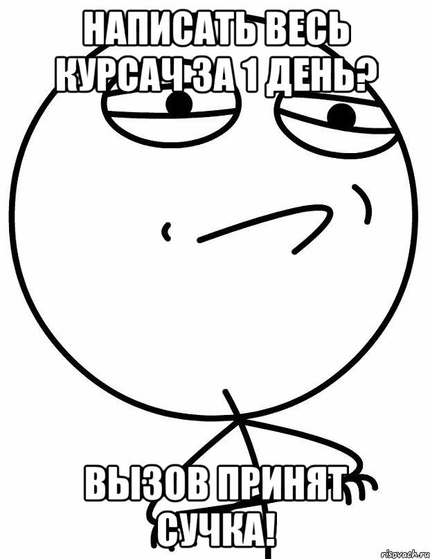 написать весь курсач за 1 день? вызов принят сучка!, Мем вызов принят