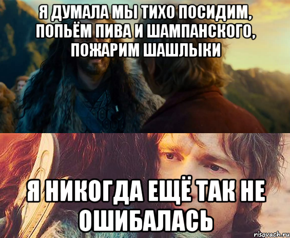 я думала мы тихо посидим, попьём пива и шампанского, пожарим шашлыки я никогда ещё так не ошибалась