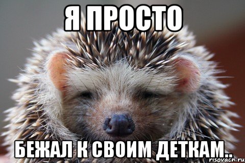 я просто бежал к своим деткам.., Мем Я просто бежал к своим деткам