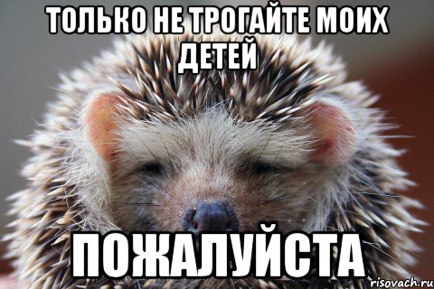 только не трогайте моих детей пожалуйста, Мем Я просто бежал к своим деткам
