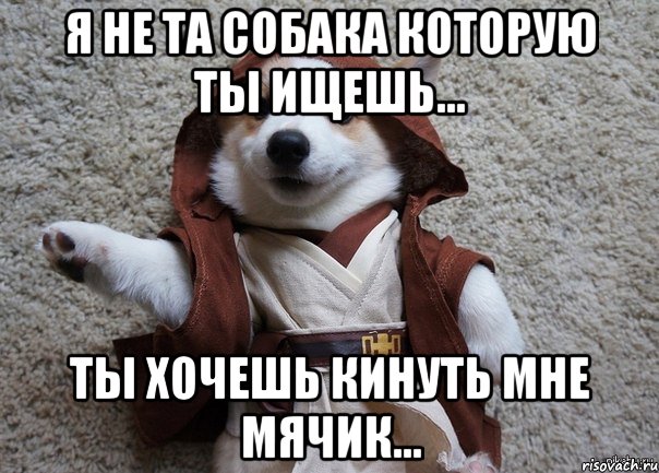 я не та собака которую ты ищешь... ты хочешь кинуть мне мячик..., Мем Я та собака