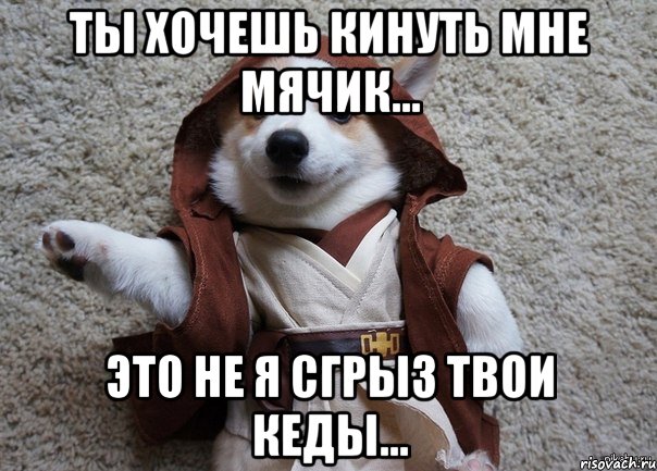 ты хочешь кинуть мне мячик... это не я сгрыз твои кеды..., Мем Я та собака