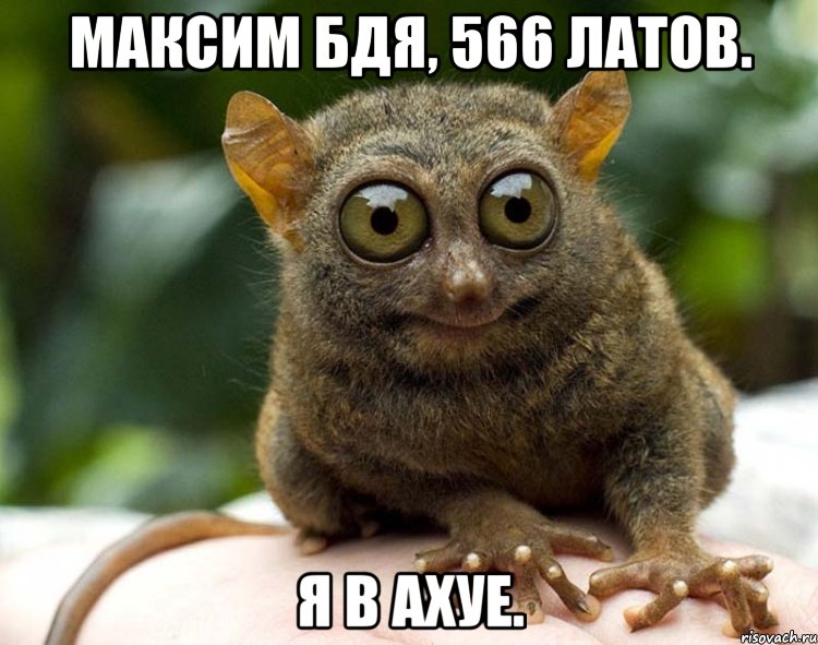 максим бдя, 566 латов. я в ахуе.