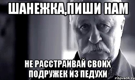 шанежка,пиши нам не расстраивай своих подружек из педухи, Мем Не огорчай Леонида Аркадьевича