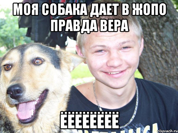 моя собака дает в жопо правда вера ёёёёёёёё, Мем Йузьо