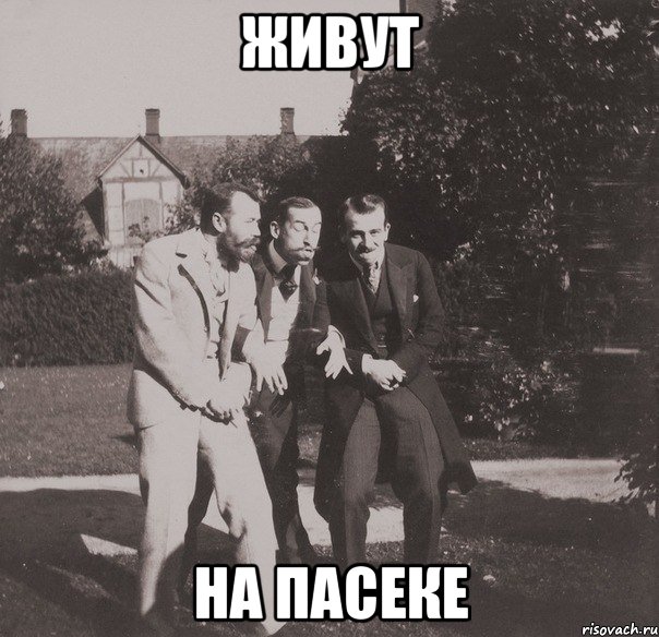 живут на пасеке, Мем ыыыы