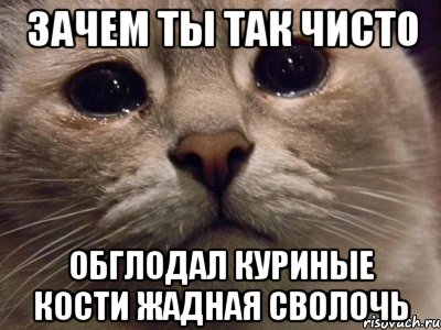зачем ты так чисто обглодал куриные кости жадная сволочь, Мем зачем ты так чисто обглодал кури