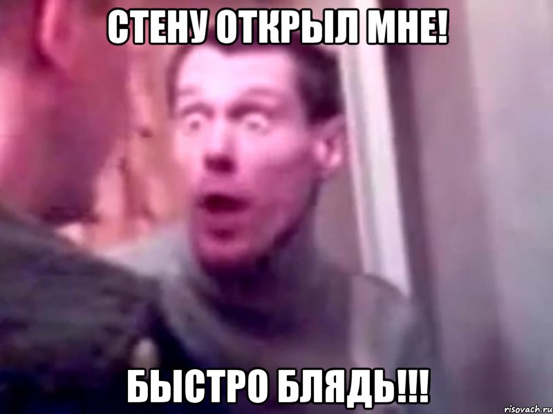 стену открыл мне! быстро блядь!!!, Мем Запили