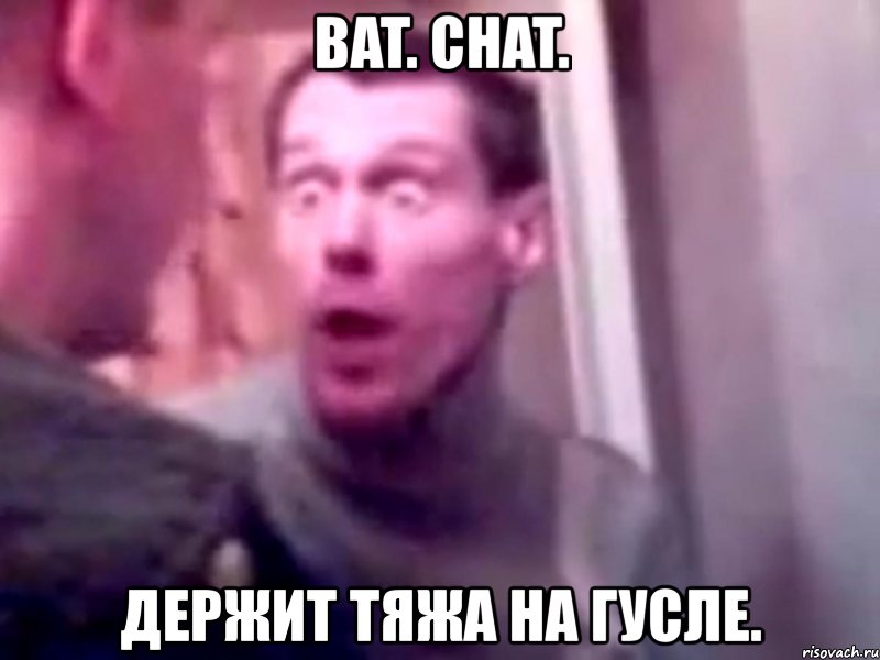 bat. chat. держит тяжа на гусле., Мем Запили