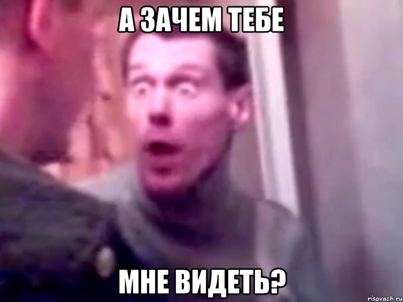 а зачем тебе мне видеть?, Мем Запили