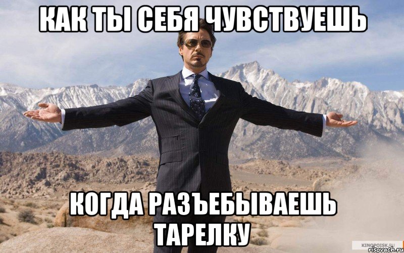 как ты себя чувствуешь когда разъебываешь тарелку, Мем железный человек