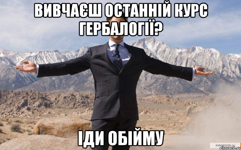 вивчаєш останній курс гербалогії? іди обійму, Мем железный человек