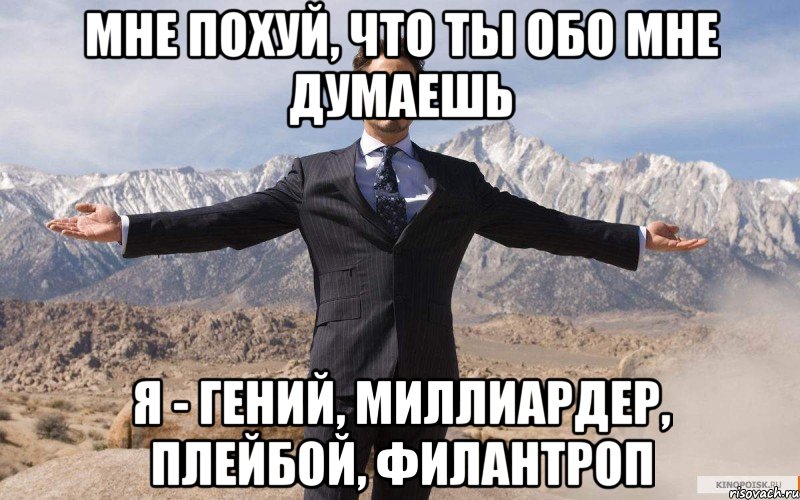 мне похуй, что ты обо мне думаешь я - гений, миллиардер, плейбой, филантроп, Мем железный человек