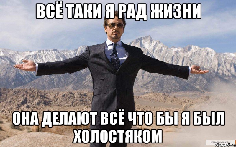 всё таки я рад жизни она делают всё что бы я был холостяком, Мем железный человек